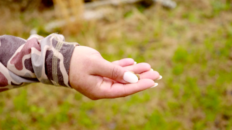 A woman's hand holding out a treat.