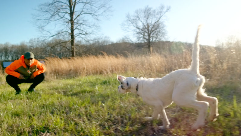 A woman crouches in the green grass teaching her dog to come.