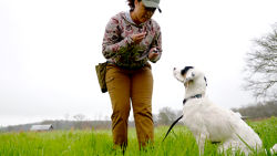 A woman in a field teaching her dog to sit