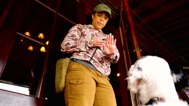 A woman holding her hand up asking a dog to wait.