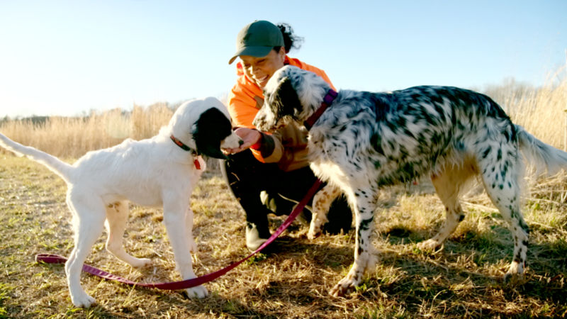 Camo Cross Dog Training