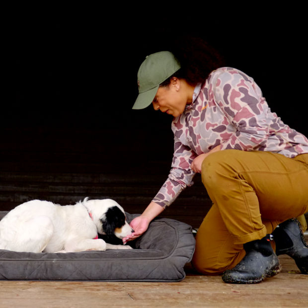 A woman teaching her dog down in a dog bed