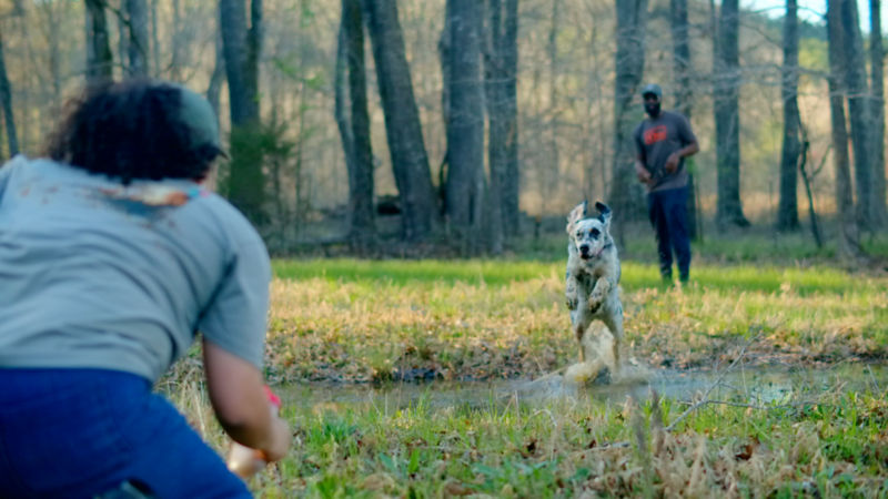 A dog running toward Melinda Benbow.