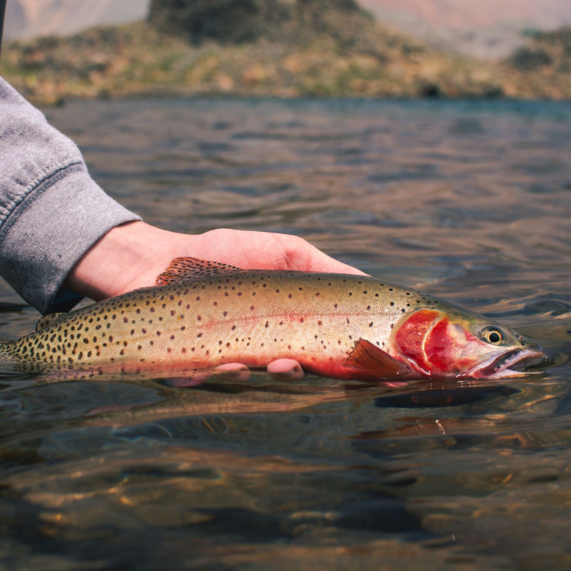 Duranglers Flies & Supplies, CO -  image number 5