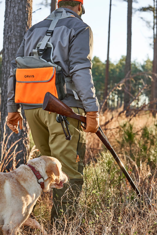 Hunter and his dog scour grass amidst the woods.