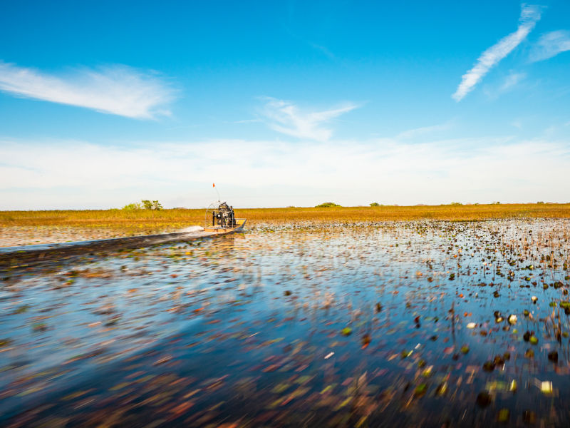 An airboat motoring through the everglades