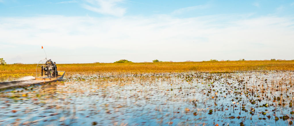 An airboat motoring through the everglades