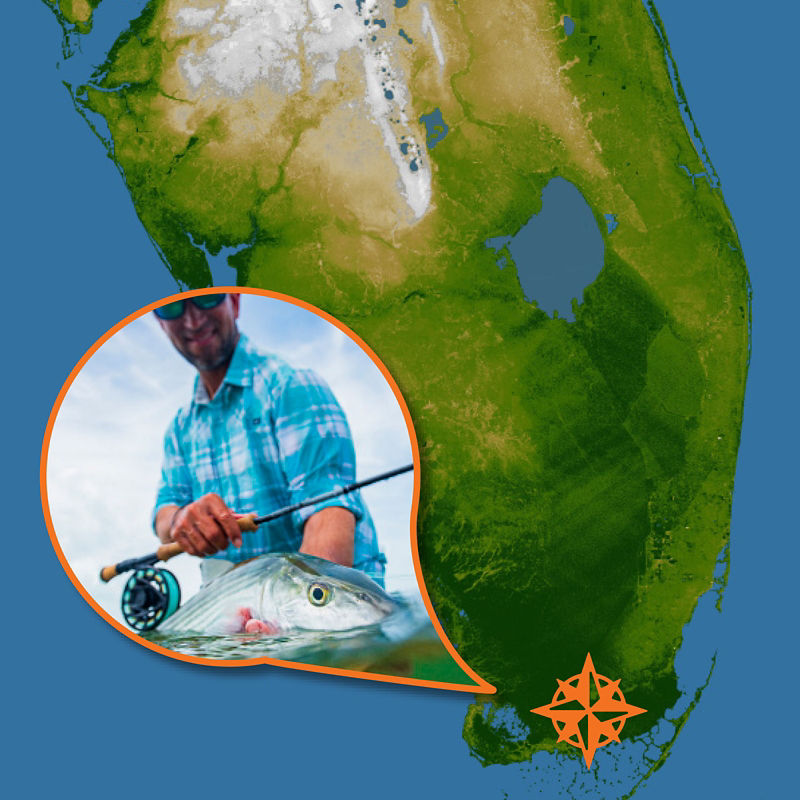A map of the tip of Florida with a compass rose on the Everglades and a small picture of an angler showing off a fish.