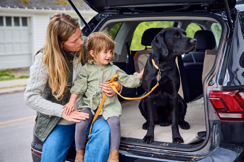 A woman holds a small child on a tailgate while the child gently pets the Labrador.