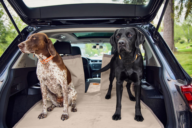 Two dogs standing on an Tough Trail&reg; Grip-Tight&reg; Cargo Protector in the back of a vehicle.