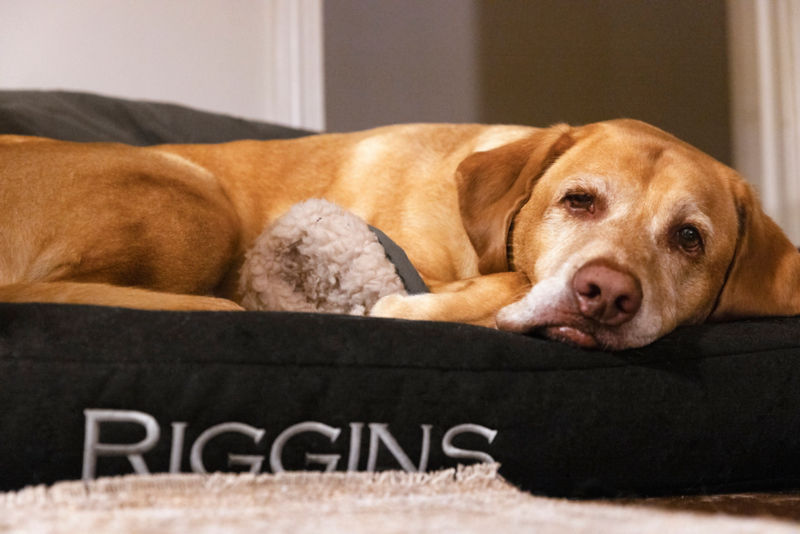 A woman sits in a camping chair next to a fire with a white truck in the background.