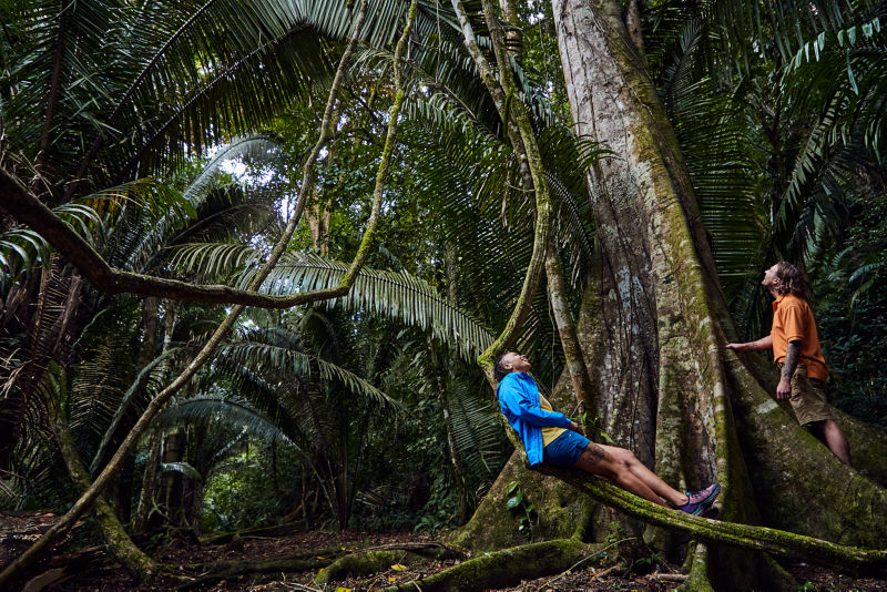 A person laying on large palm tree branch in Belize.