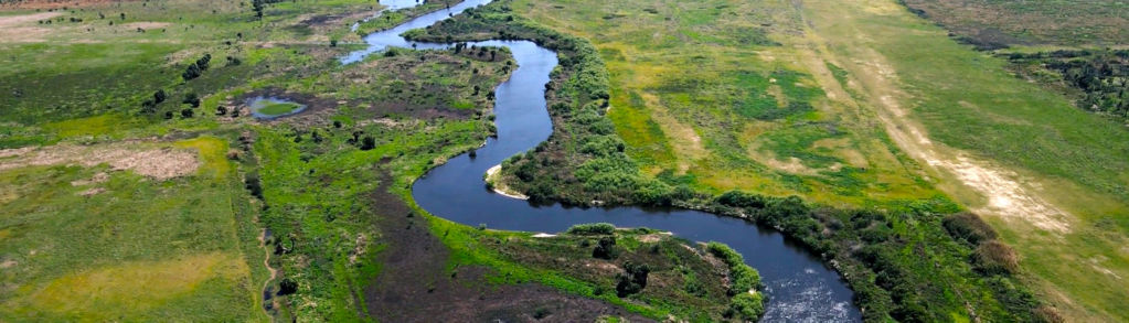 A drone-view of the Kissimee river winding through emerald grasslands