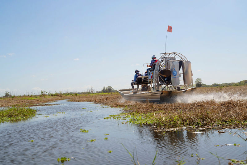 Several people navigate Kissimee River shallows in an airboat