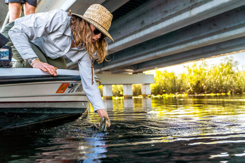 Hannah Perkins  in a sunhat leans out of a boat under a bridge to release a peacock bass
