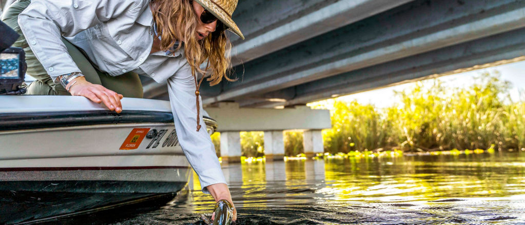 Hannah Perkins  in a sunhat leans out of a boat under a bridge to release a peacock bass