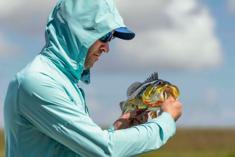 Simon Perkins holds a gorgeous Peacock Bass