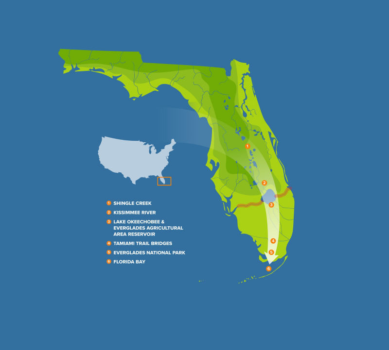 A map of the Everglades Watershed with Shingle Creek, Kissimmee River, Lake Okeechobee, Tamiami Trail Bridges, Everglades National Park, and Florida Bay marked on the map