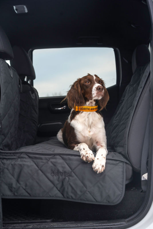 A spaniel sitting in the back seat of a car on a quilted seat protector.