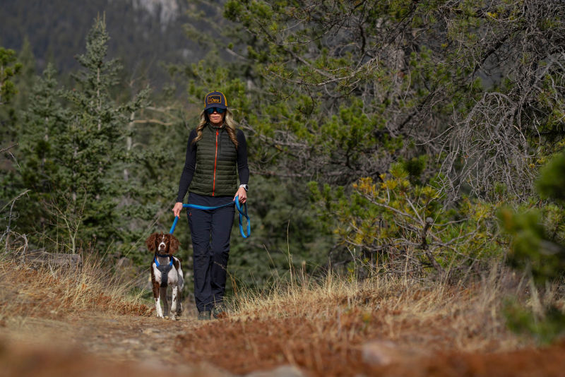 A hiker pauses with her leashed spaniel in front of a row of conifers.