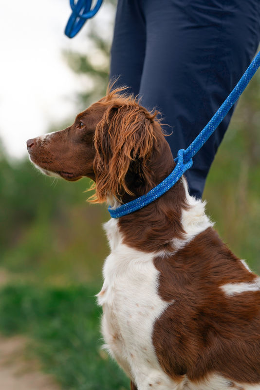Tough Trail&reg; Climbing Rope Slip Dog Lead - 