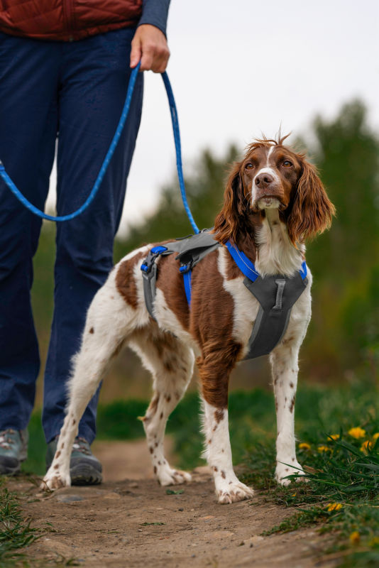 Tough Trail&reg; Six-Point Dog Harness -  image number 2