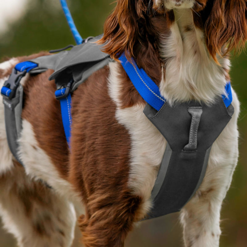 A close up of the six point harness.