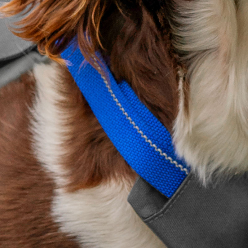 A close-up shot of the reflective stipe on a blue harness