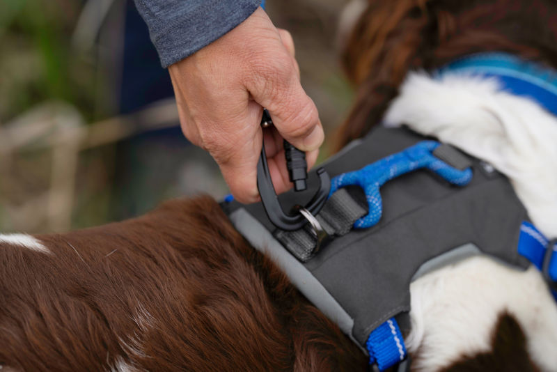 Tough Trail&reg; Four-Point Dog Harness - BLUE image number 4