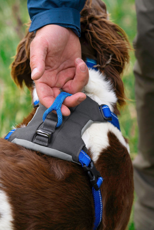 A close up shot of the handle on the harness.