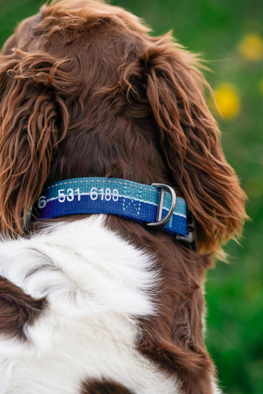 Tough Trail&reg; Collar 2.0 -  image number 1