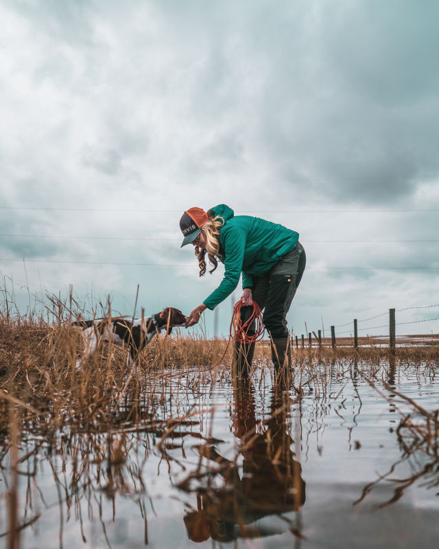 A puppy on a check cord with Timbre training in a wet field.