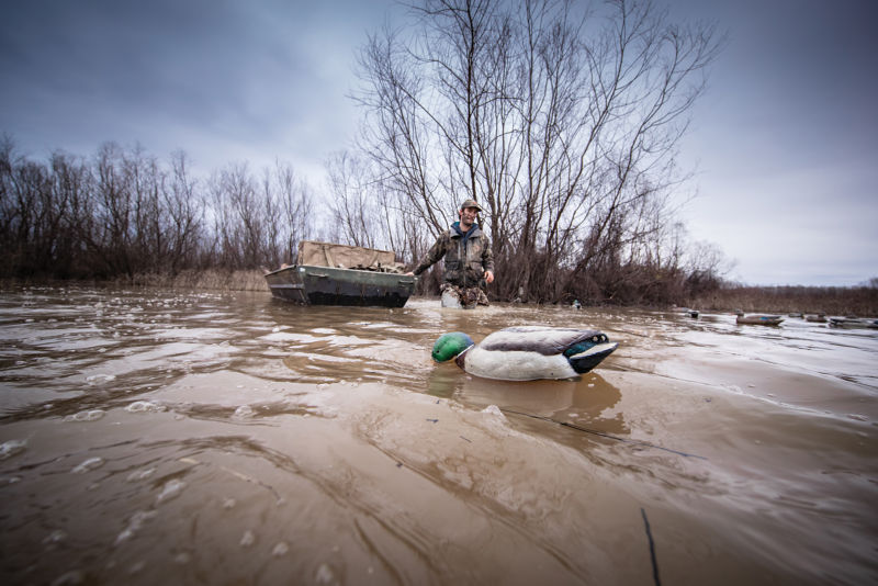 A waterfowl hunter drags a boat through the water setting decoys.
