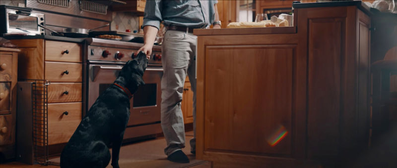 Charley Perkins stands in a kitchen behind warm wooden counters reaching for his black dog, Romi.