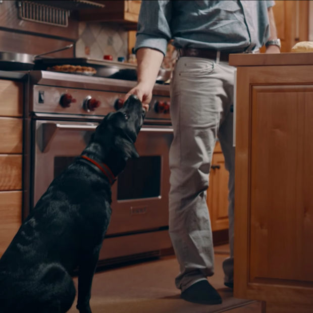 Charley Perkins stands in a kitchen behind warm wooden counters reaching for his black dog, Romi.
