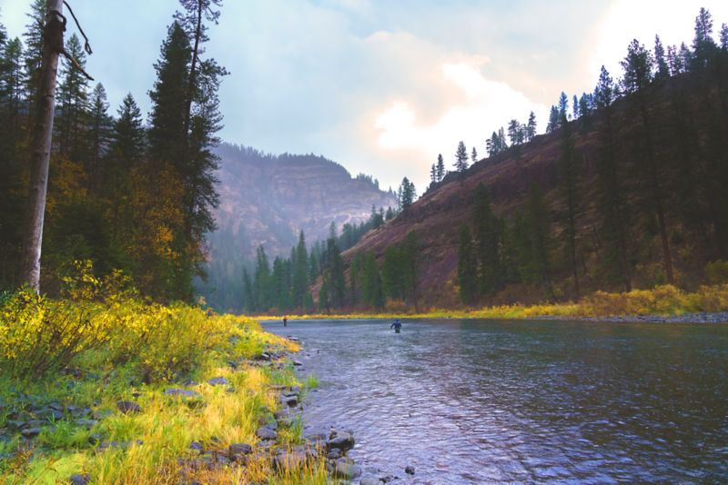 Two anglers fishing in a river that runs through a forest valley.