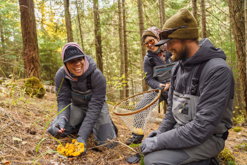 A group of anglers find a cluster mushrooms in the woods