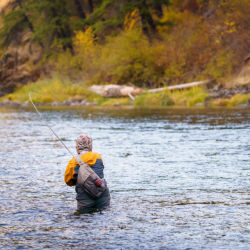 An angler wades hip-deep in a river