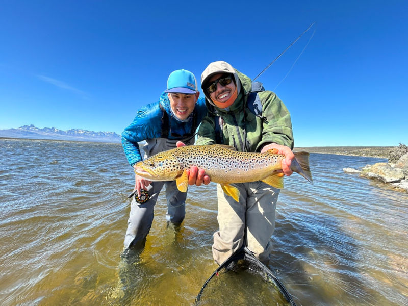 Grey Fox Outdoor -  image number 1