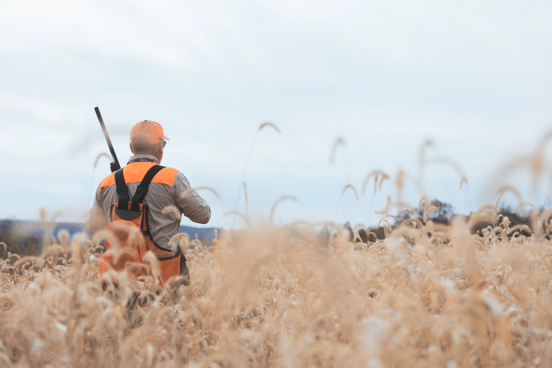 A man wearing hunting gear, seen from behind, standing in a grassy field.