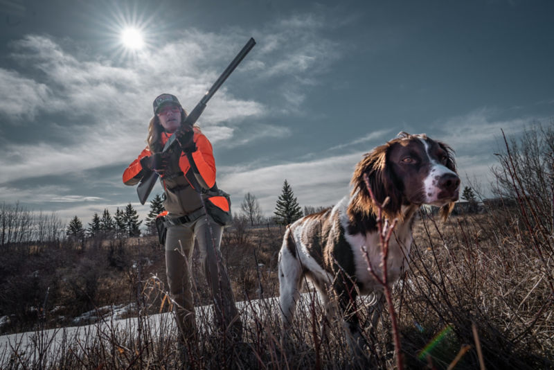 Timbre following her dog working a field.