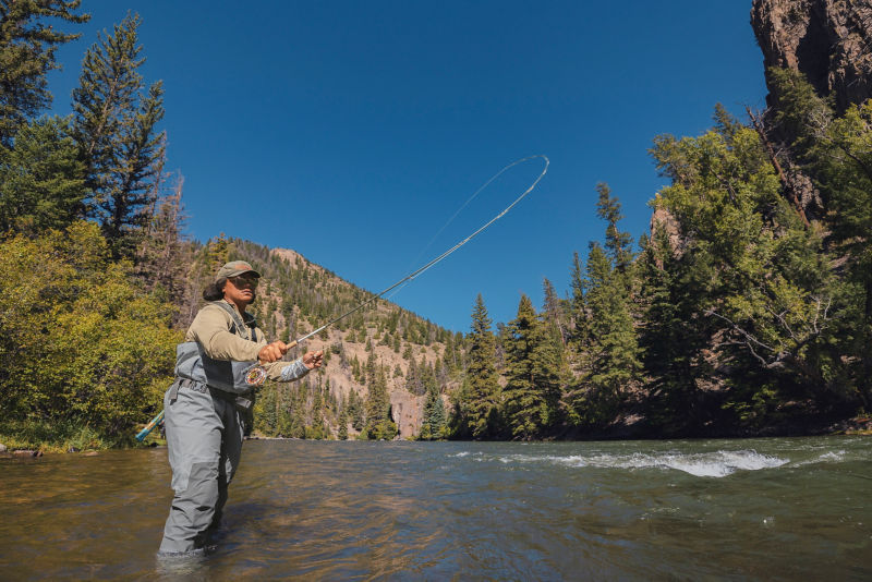 Blue Lines Fly Fishing— Hackle