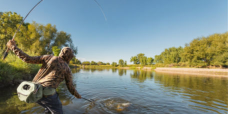 An angler pulls a fish into the net on a clear sky day.
