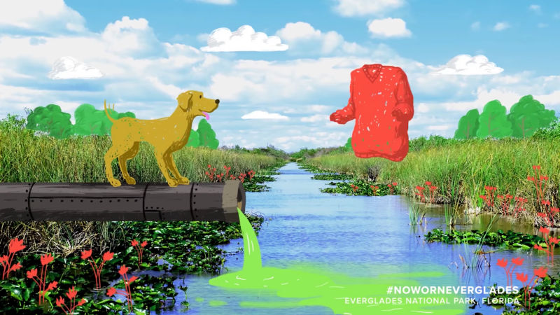 Dog overlooking a stream being polluted