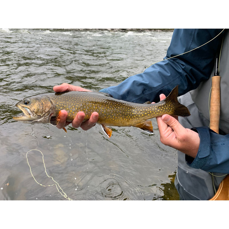 Scott R. Whitaker, ME -  image number 2