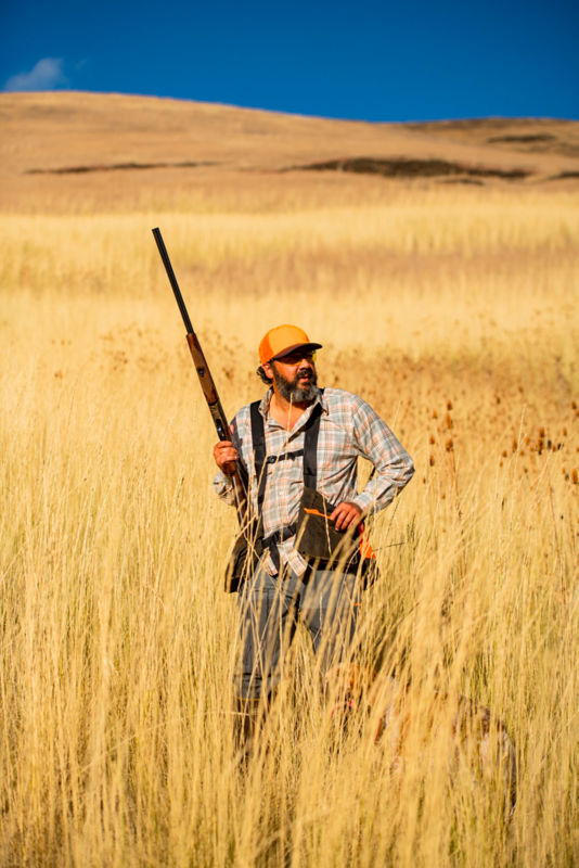 A hunter carrying a shotgun through an upland field.