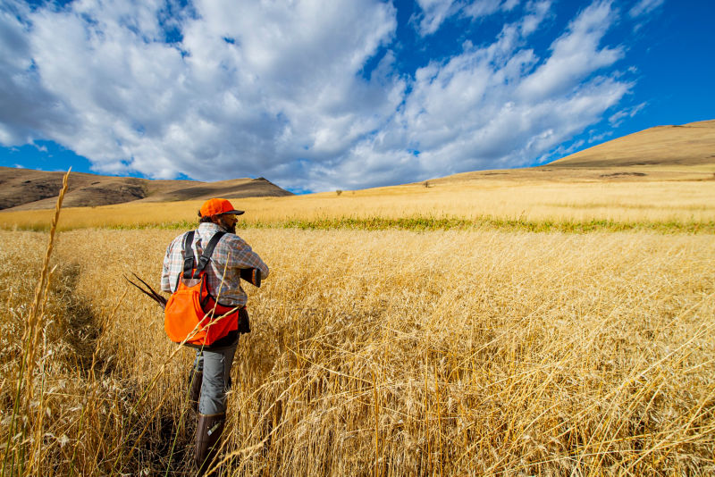A hunter in a field under a big, bright sky.