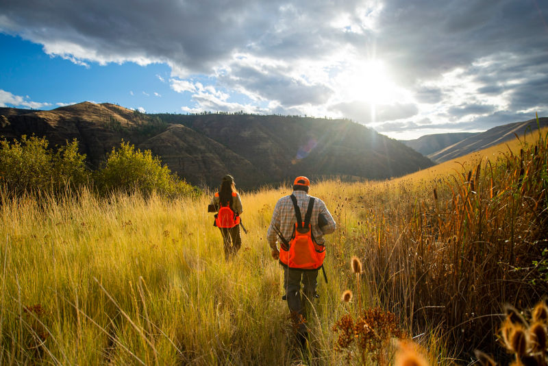 Waxed Cotton Strap Vest - OLIVE BLAZE image number 1