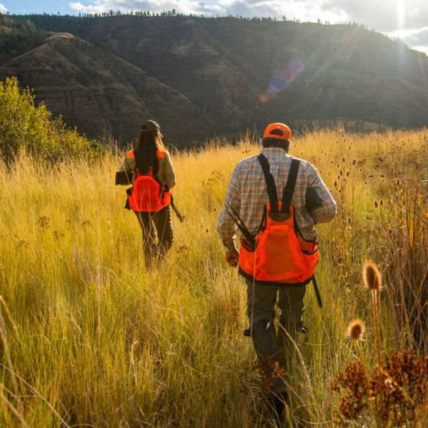 Two hunters walk through tall grass towards hills and valleys.