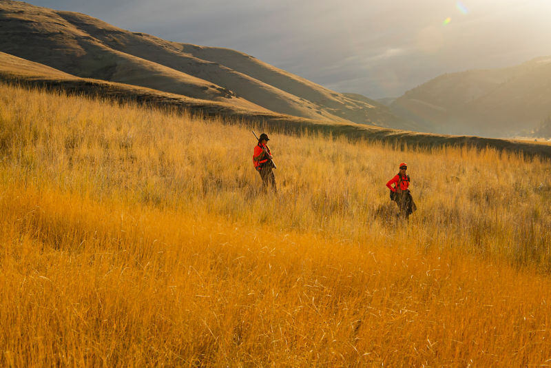 A wingshooter and guide in a wide field surrounded by rolling hills.